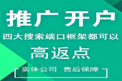 行业领先的SEM竞价广告投放案例
